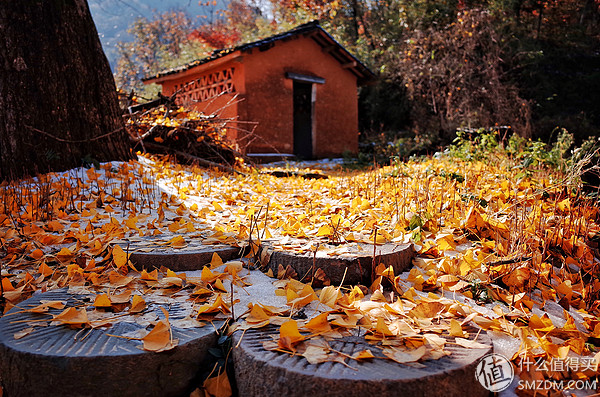 随心而拍的便携机皇--Ricoh 宾得 理光GR2 一年