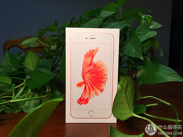 最后抄底开箱:Apple 苹果 iPhone 6s plus 粉色(