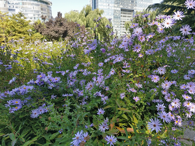 一加3拍照对比 色彩丰富不输iPhone 7_沙发管